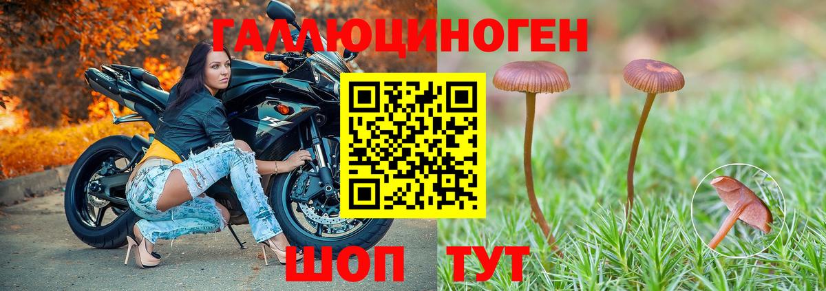 Гатчина  Галлюциногенные грибы ЛСД  Вход с VPN  Галлюциногенные грибы Magic Shrooms 