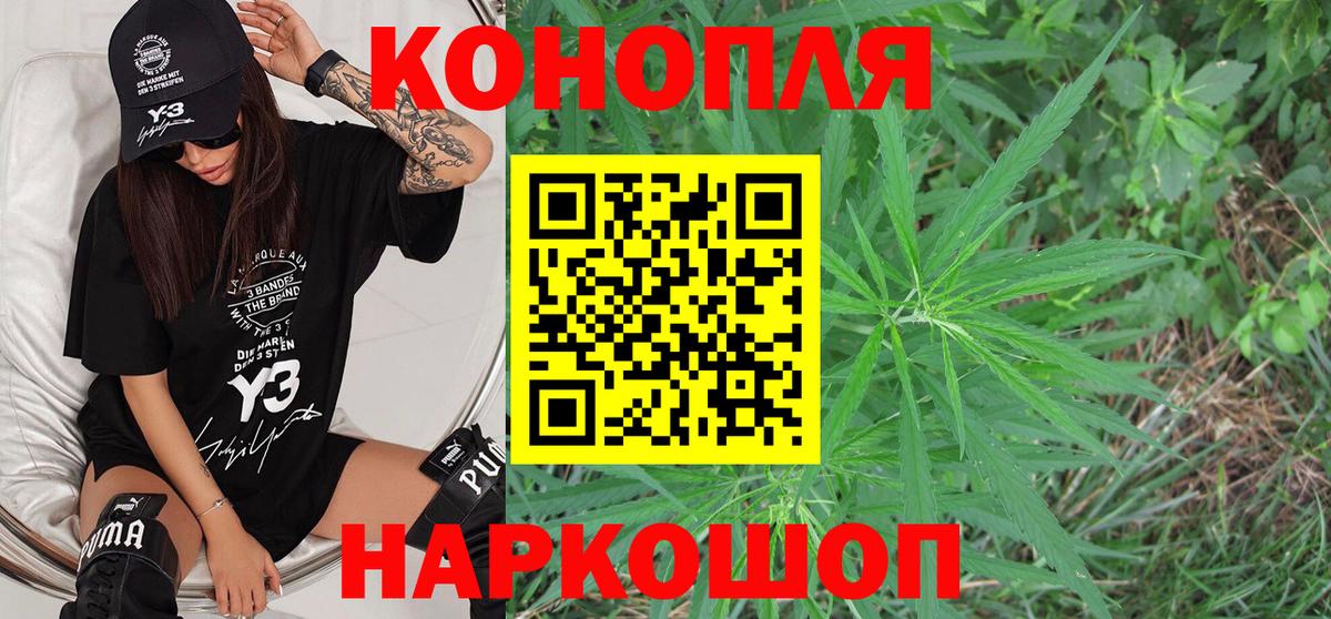 Гатчина  Шишки марихуана OG Kush  Вход с VPN  Канабис гибрид  Шишки марихуана планчик  Марихуана AK-47 